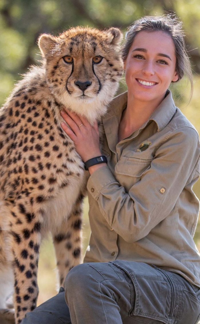 Meet A Cheetah Cropped Wild Cat Conservation Centre