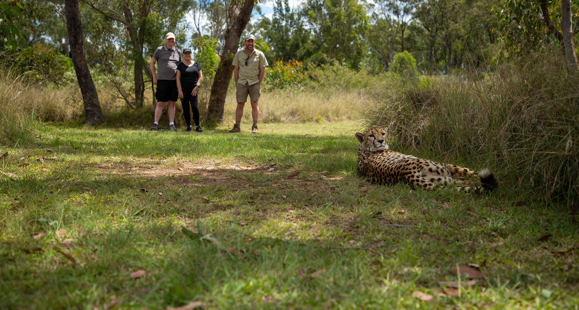 Ultimate wild cat experience - Wild Cat Conservation Centre