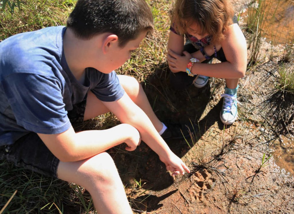 Wild Cat Cadets learning about identifying paw prints & tracking - Junior Conservationist Program