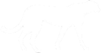 Cheetah Silhouette