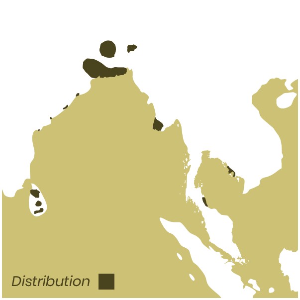 Serval distribution map of South Asia