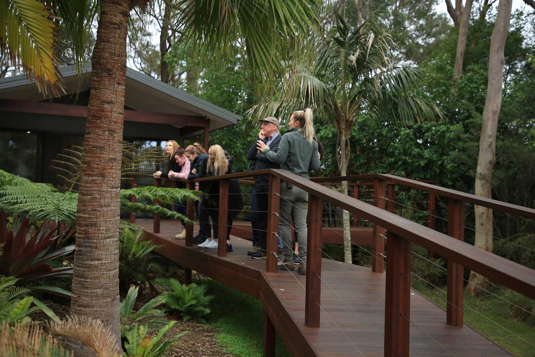 Guided Tour - Wild Cat Conservation Centre