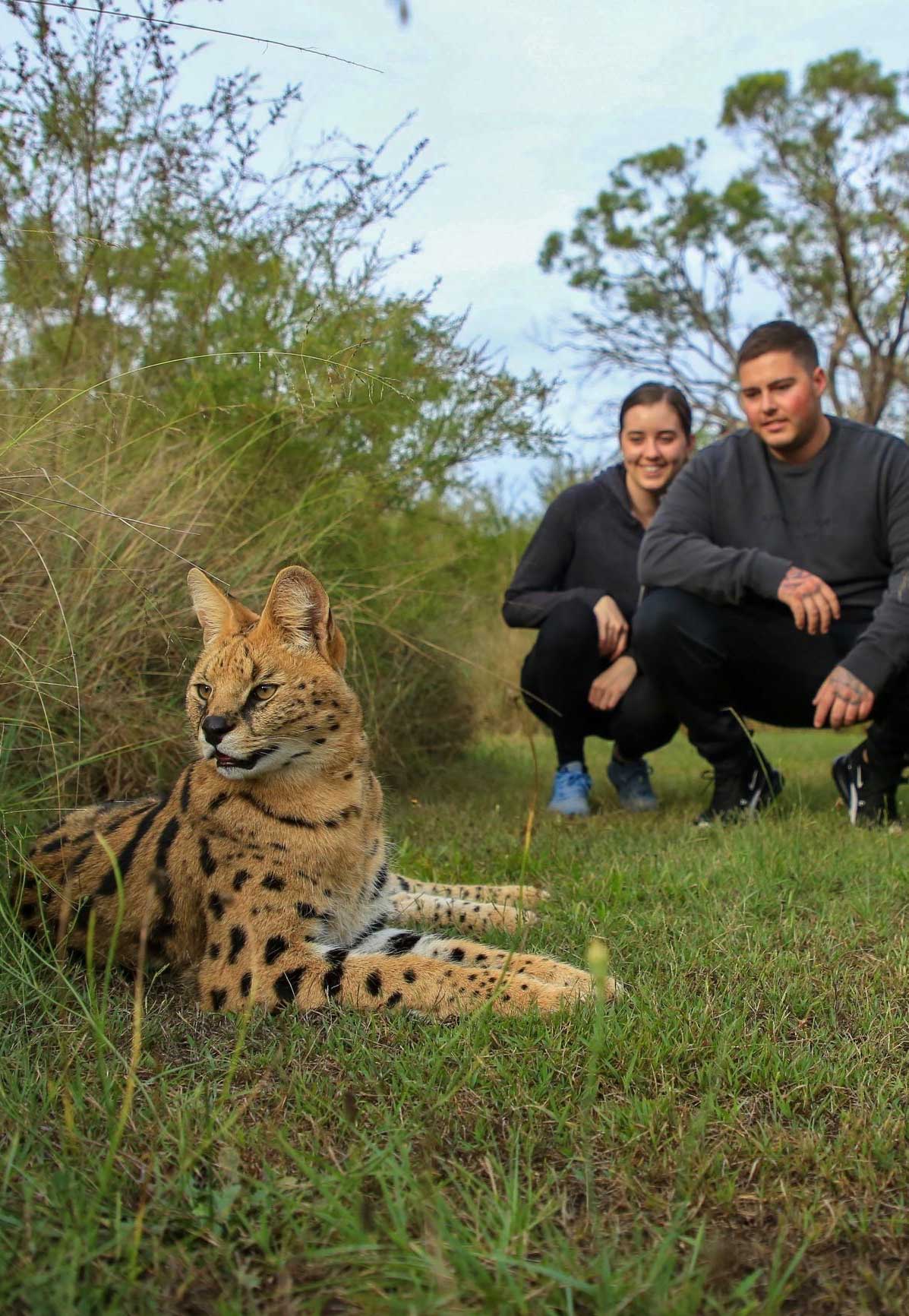 Wild Cat Conservation Centre private tour