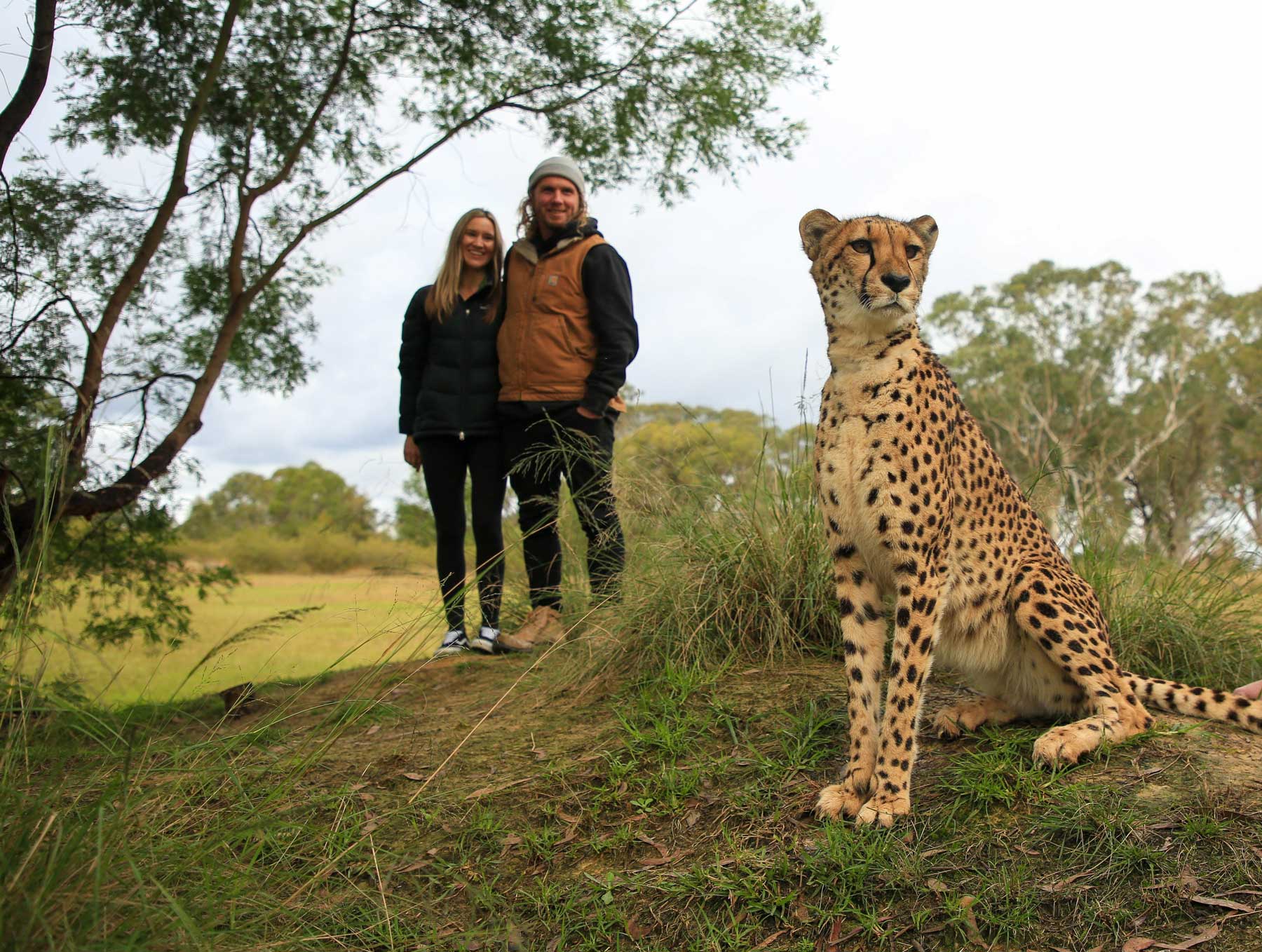 Ultimate wild cat experience - Wild Cat Conservation Centre